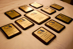 Awards won by The Reporter.