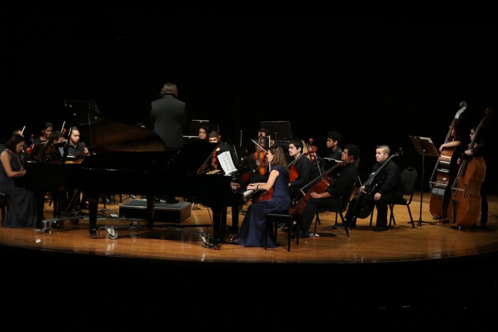 An orchestra performing a musical suite called The Carnival of the Animals.