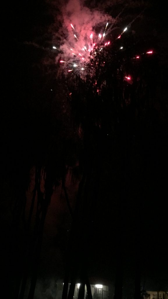 Happy New Year fireworks in Miami-Dade County.