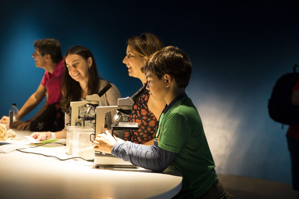 Children looking through microscopes.