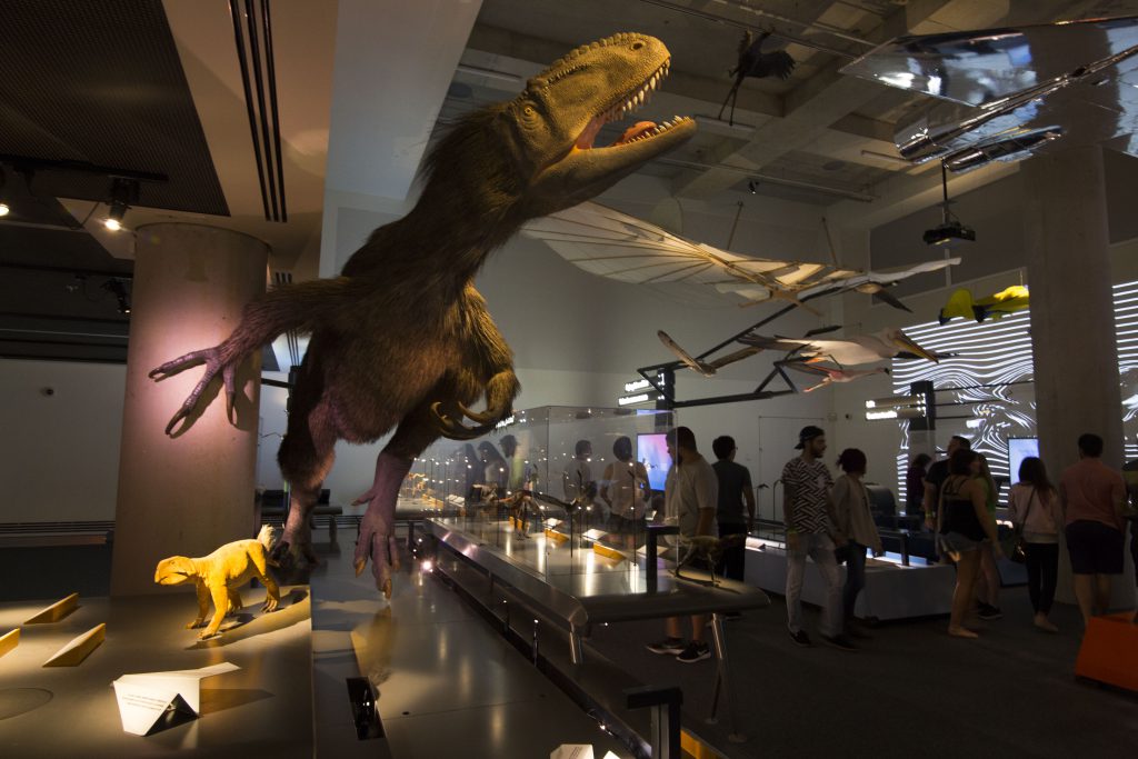 Dinosaur on display.