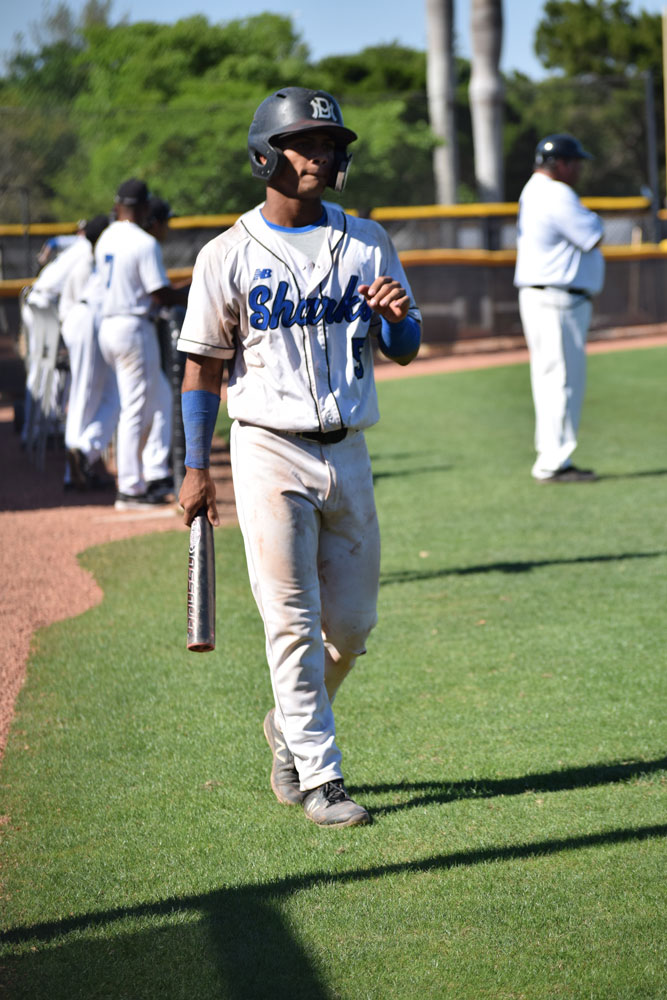 Michael Alicea going to bat for the Sharks.