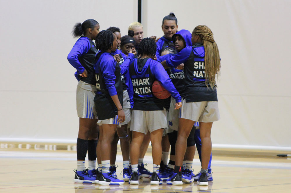 Lady Sharks on the court.