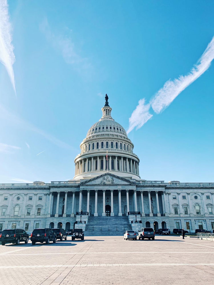 Image of the United States Capitol Building.