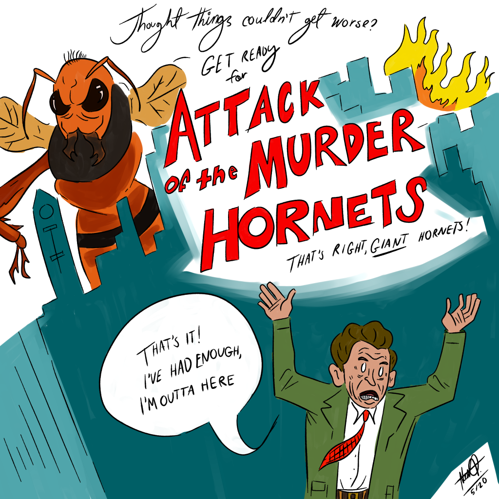 Murder Hornets