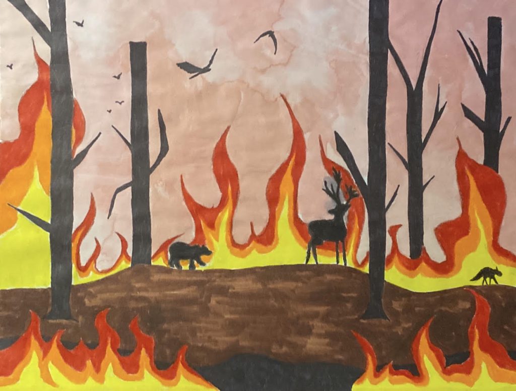 Wildfires illustration by Carolina Soto.
